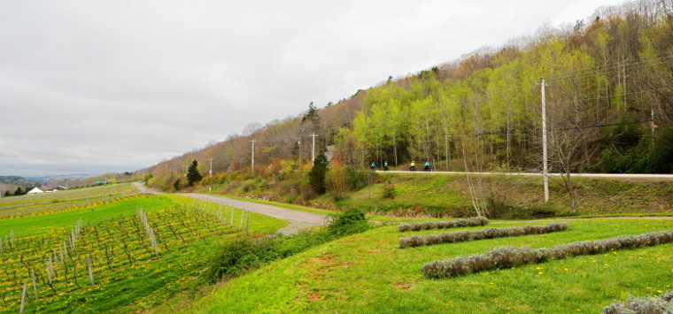 Riding in the Gaspereau Valley